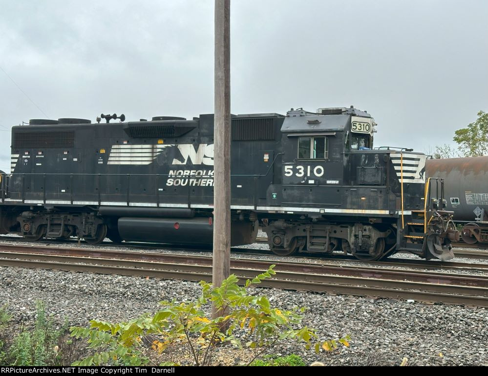 NS 5310